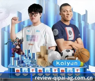 ag棋牌娱乐平台 APP 界面