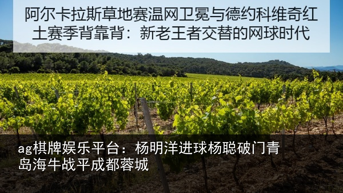 ag棋牌娱乐平台：杨明洋进球杨聪破门青岛相关情况