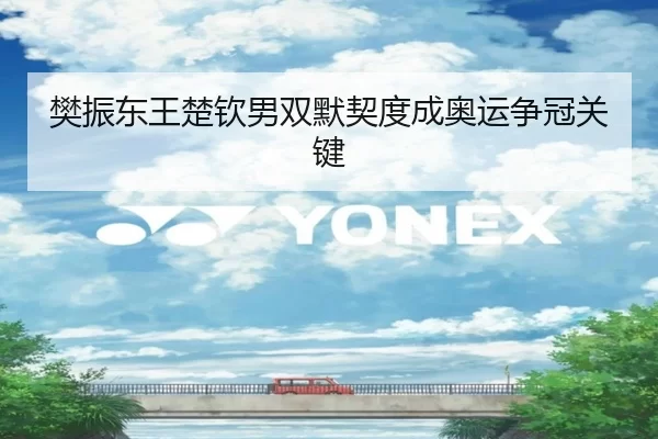 樊振东王楚钦男双默契度成奥运争冠关键