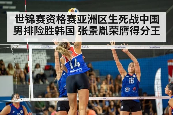 Zhang Jingyin volleyball spike