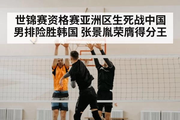 volleyball block net