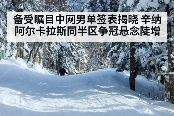 备受瞩目中网男单签表揭晓 辛纳阿尔卡拉斯同半区争冠悬念陡增
